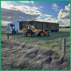 Trucks & Feed the soul of Quality Feeds!